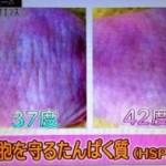 温度４２度のお風呂でシワ予防に？HSP/熱ショックタンパク質の効果【NHK堂本光一のちょこっとサイエンス１２月２７日】