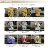 幸運の招き猫 大分県湯布院工房輪葉葉【ありえへん∞世界 4月10日】