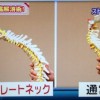 肩こり&首痛の原因!ストレートネック改善方法/治し方【L4YOU 1月23日】