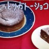 しっとりガトーショコラレシピ/作り方【NHKきょうの料理 2月4日/いがらしろみ】