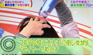 薄毛を隠すボリュームアップブローのやり方【NHKためしてガッテン 4月3日】