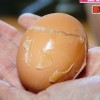NHKあさイチ 冷凍卵の作り方&おにぎり,天ぷらレシピ【1月8日】