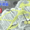 みんなの家庭の医学 冷え性改善入浴法&塩化物泉温泉ランキング【1月27日】