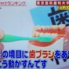 正しい歯磨きの仕方