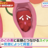 延髄