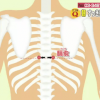 膈兪のツボの場所