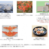 月曜から夜ふかし ふるさと納税1万円で貰えるおすすめ商品ベスト3【2月9日】