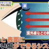 目のシステム