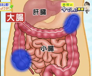大腸の便がたまりやすい部分