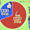 アミノ酸ダイエットで落ちる筋肉量・脂肪量のグラフ