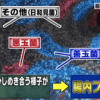 腸内フローラのCG