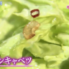 ペペロンキャベツレシピ