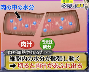 肉の中の水分と細胞の図
