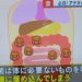 デブ菌
